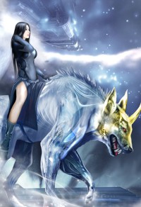 执宰大宋