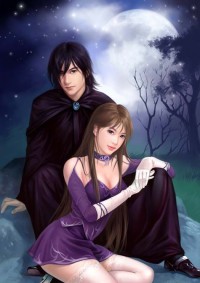 新婚之夜,我负甲守国门